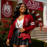Load image into Gallery viewer, Delta Sigma Theta Elephant Handbag
